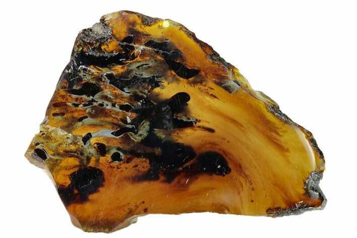 Polished Blue Indonesian Amber - West Java, Indonesia #162541